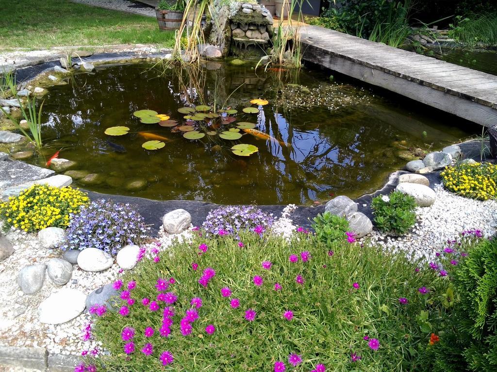 Le Bassin Du Tertre Bed and Breakfast Fronsac  Eksteriør billede