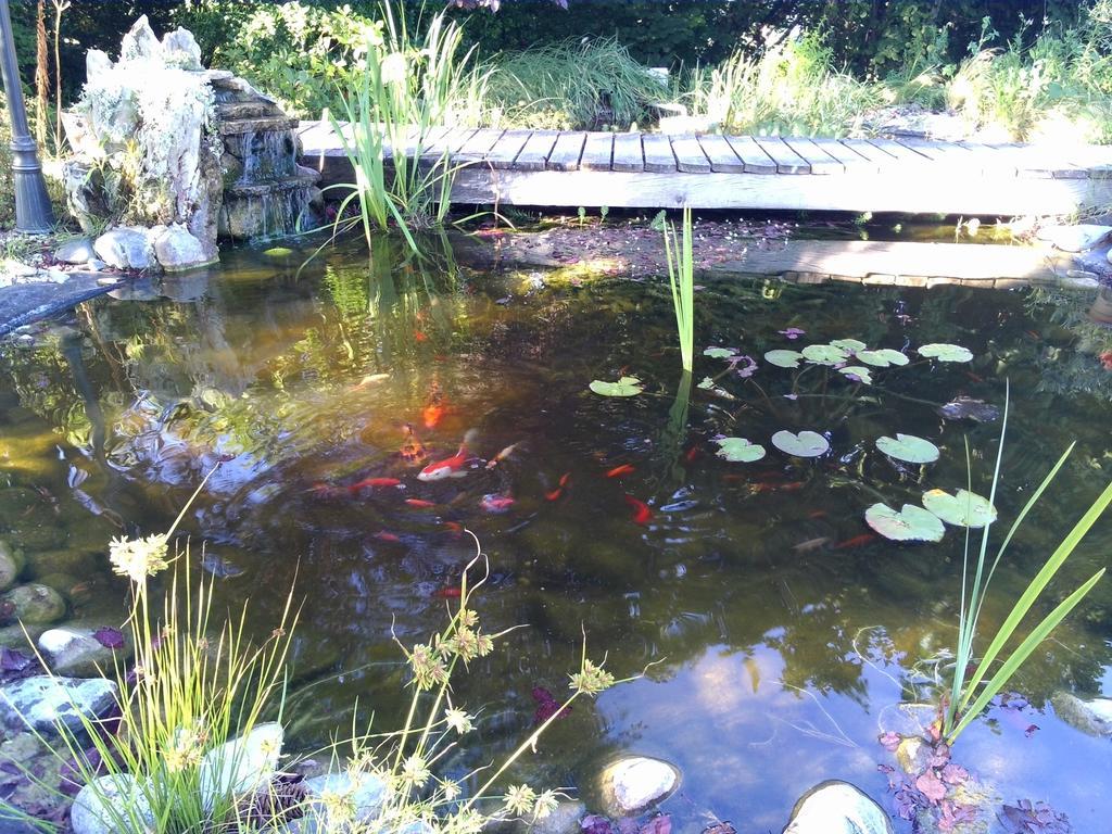 Le Bassin Du Tertre Bed and Breakfast Fronsac  Eksteriør billede